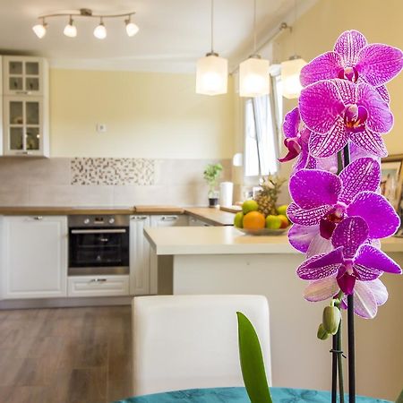 Апартаменты Apartman Maxim Пула Экстерьер фото